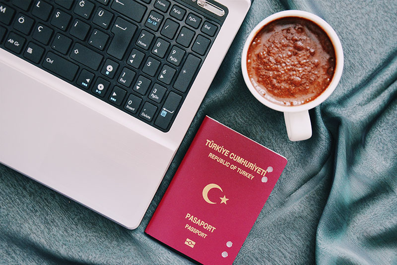 Vize İşlemleri